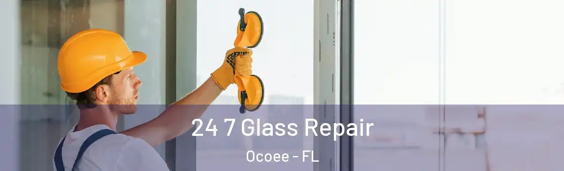  24 7 Glass Repair Ocoee - FL