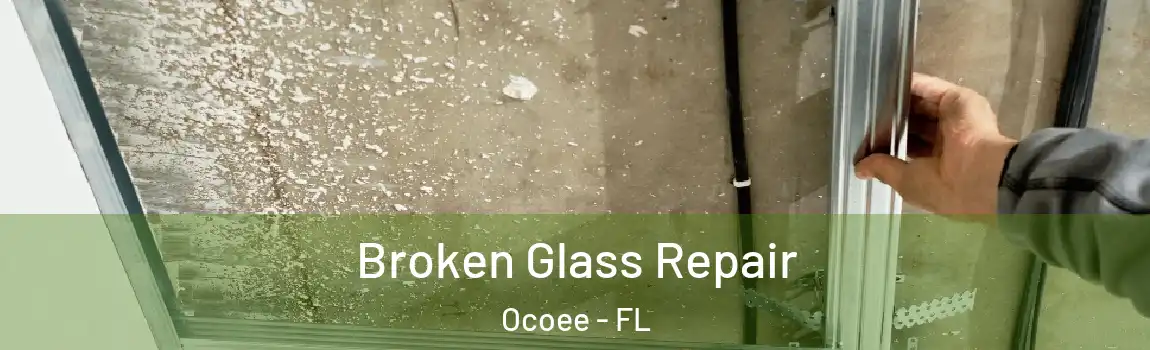  Broken Glass Repair Ocoee - FL