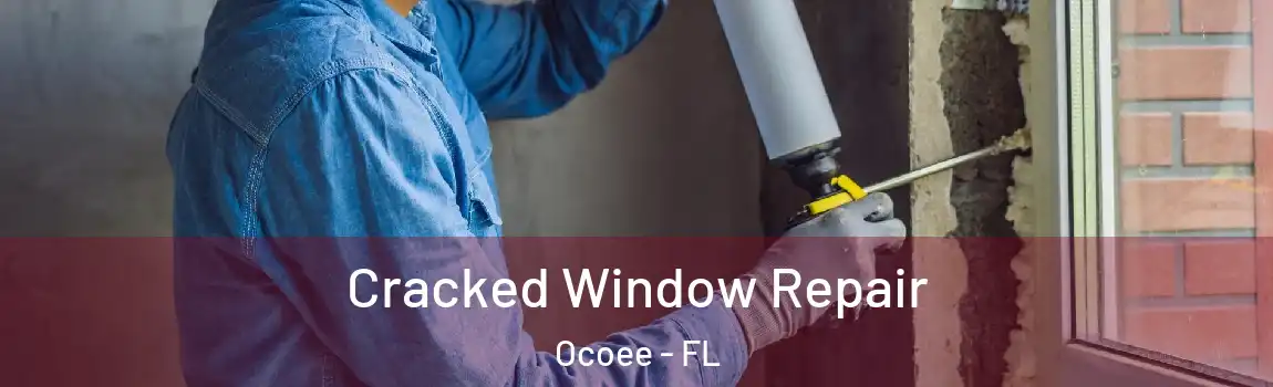 Cracked Window Repair Ocoee - FL