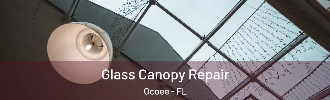  Glass Canopy Repair Ocoee - FL
