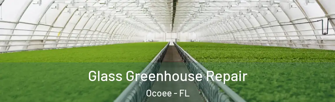  Glass Greenhouse Repair Ocoee - FL