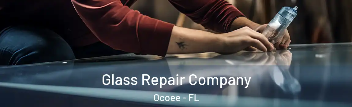  Glass Repair Company Ocoee - FL