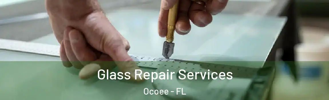Glass Repair Services Ocoee - FL