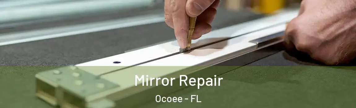  Mirror Repair Ocoee - FL