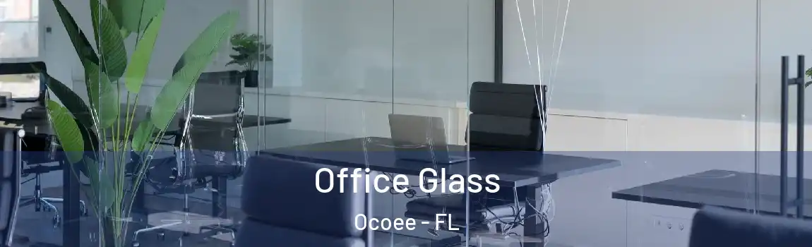  Office Glass Ocoee - FL
