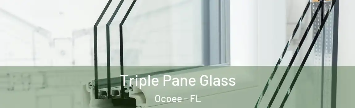 Triple Pane Glass Ocoee - FL