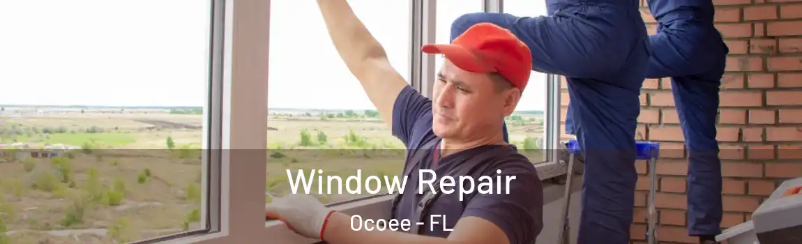  Window Repair Ocoee - FL