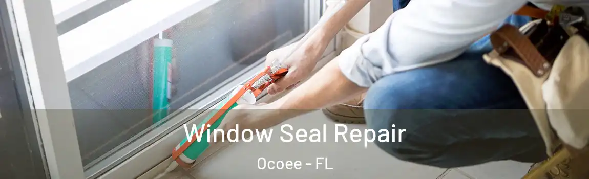  Window Seal Repair Ocoee - FL